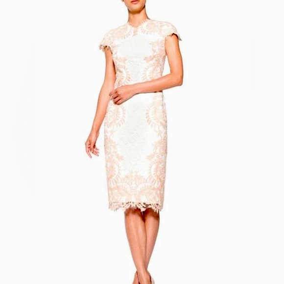 Tadashi Shoji Dresses & Skirts - Tadashi Shoji Pink & White Lace Dress